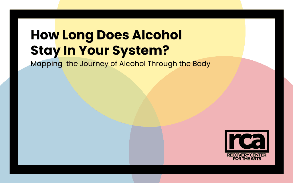 How Long Does Alcohol Stay In Your System – Mapping the Journey of Alcohol Through the Body