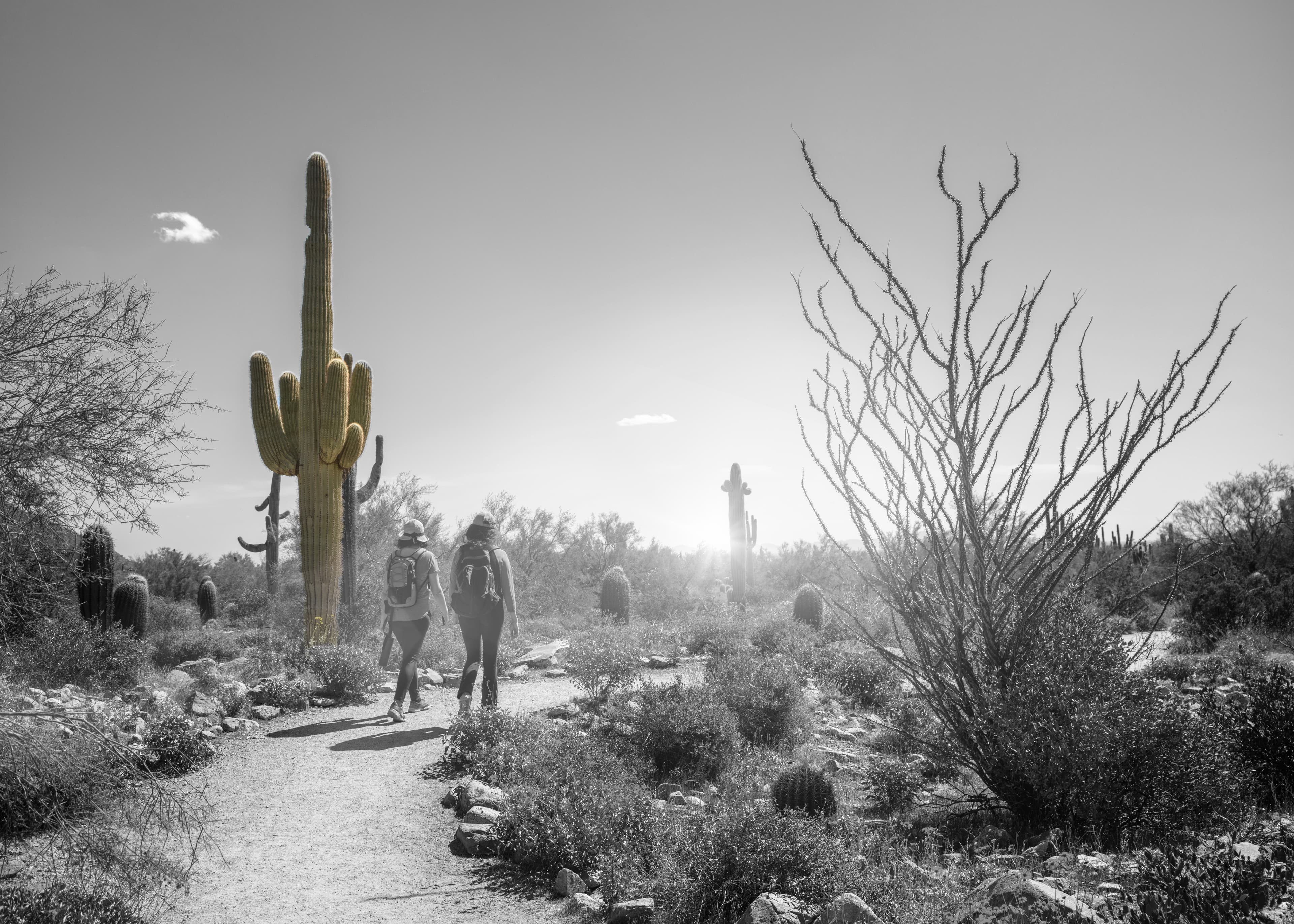 Individuals participating in expressive arts therapy